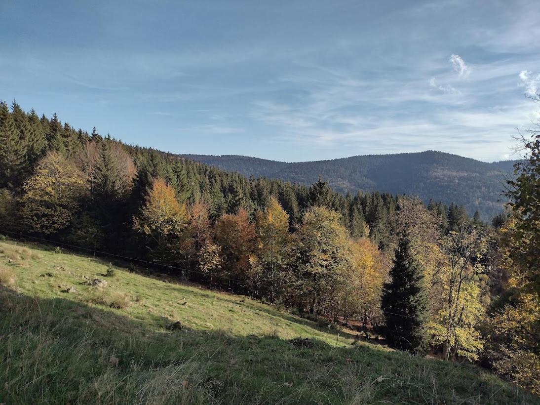 Bel'm La Bresse
