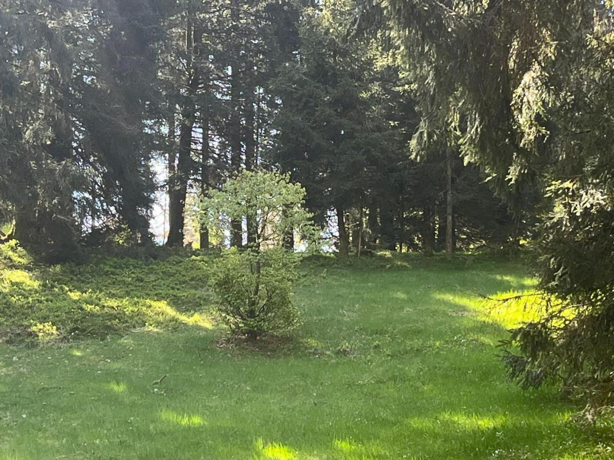 Bel'm * La Bresse
