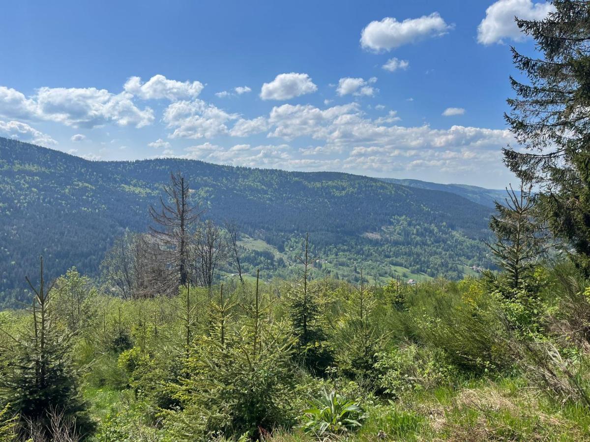 Bel'm Apartment La Bresse